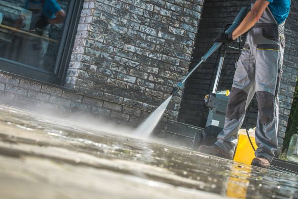 Best Gutter Cleaning  in Indian River, MI